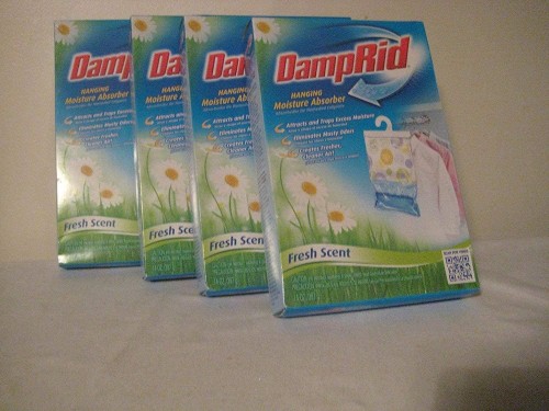 damp-rid4cbd2219bd787ffd.jpg