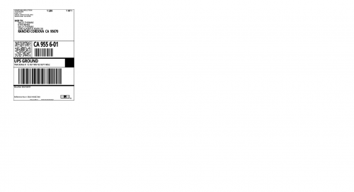 Sally-Thomas692a28efefd9b3b3.png