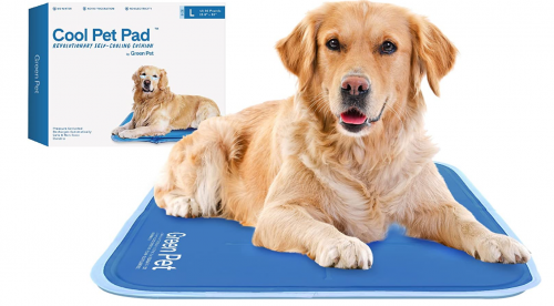 image67626b6c6e18ccaa.png