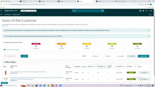 voice-of-the-customere489ba37f519ada7.png