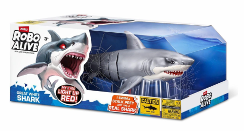 image9541c2271fd956fd.png
